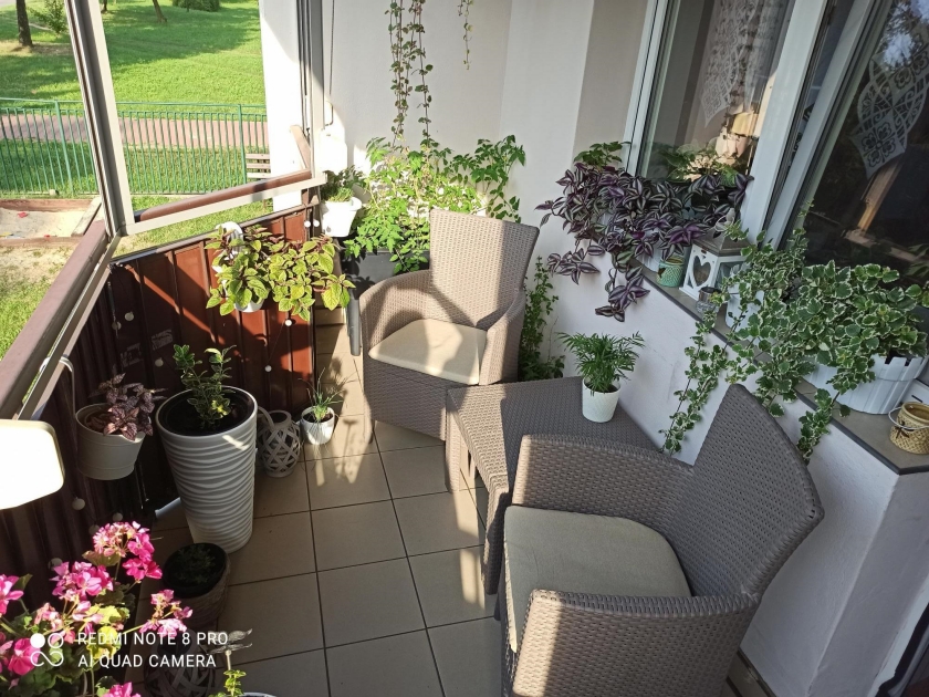 Balkon z roślinami
