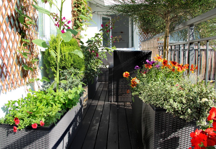 Balkon ogrodzony roślinnością 