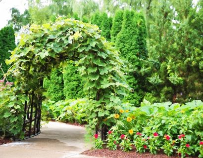 Pergola drewniana