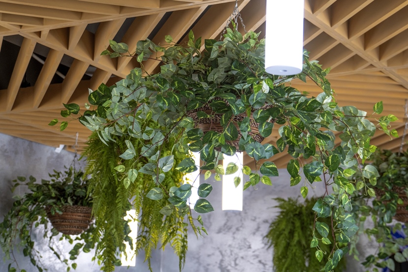 biophilic design, czyli drewno i roślinność